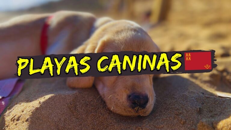 Playas para Perros cerca de &Aacute;guilas