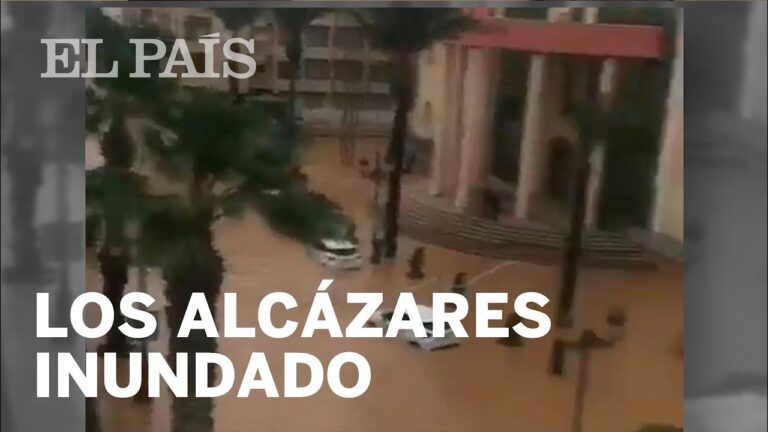 Gu&iacute;a para Testigos de Accidentes en Los Alc&aacute;zares
