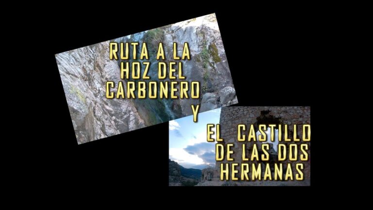 Senderismo con Perros: Mejores Rutas en Totana