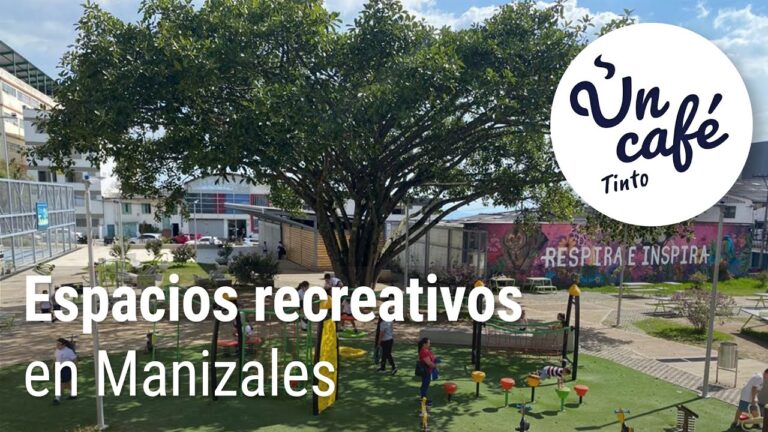 Mejores parques para hacer deporte en Los Alc&aacute;zares